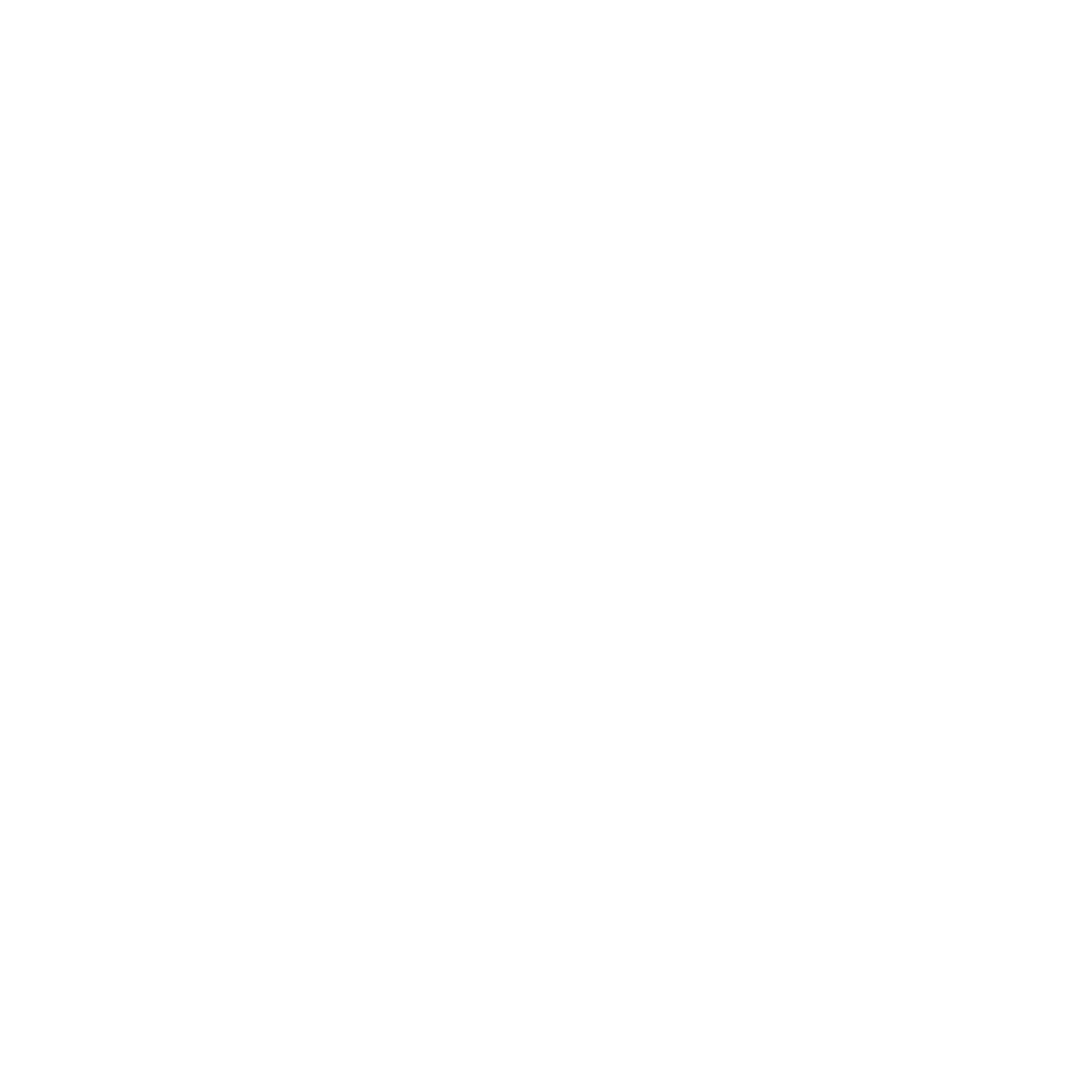 TikTok Icon